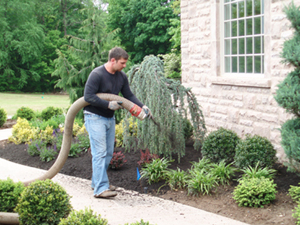 Mulch Maintenance, Mulch, Mulch blown installation, Mulch blower, Mulching