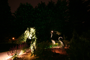 Star Lights: Outdoor Lighting, Landscape Lighting Designer, Low Voltage Lighting, Landscape Lighting, 100,000 stars